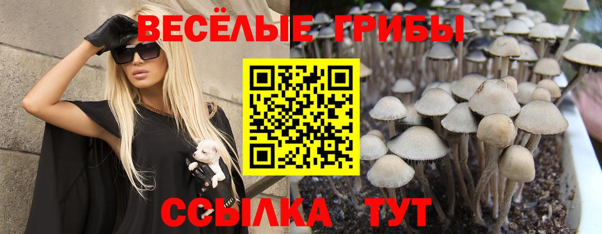 Великие Луки  Псилоцибиновые грибы Psilocybine cubensis  Вход с VPN 