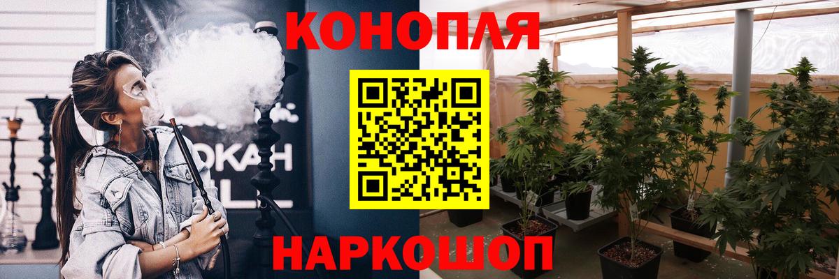 Великие Луки  МАРИХУАНА конопля  Конопля конопля  Вход с VPN  Бошки Шишки Bruce Banner  Конопля Bruce Banner 